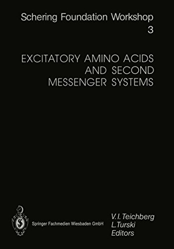 Excitatory Amino Acids and Second Messenger Systems (Ernst Schering Foundation Symposium Proceedings Book 3) (English Edition)