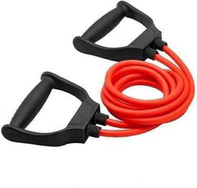 GRACE GUTS Double Toning Resistance Tube Pull Rope Elastic Rubber Exercise Band for Stretching, Workout, Home Gym and Toning with Heavy Quality D Shaped Handles (B0D1NH34NR) Amazon Price History, Amazon Price Tracker