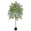 Pinpon 6ft artificial ficus tree for home decor 70 tall fake plant potted silk trees with realistic leaves and natural wood trunk faux floor tree for indoor outdoor livingroom garden decoration  urban country home decor