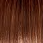 GL29-31SS Shaded Rusty Auburn
