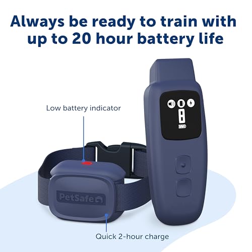 PetSafe Basic Dog Trainer with Remote, 300 Ft Range, 8 Static Levels - image 5
