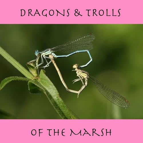 S05E21 - Dragons & Trolls of the Marsh