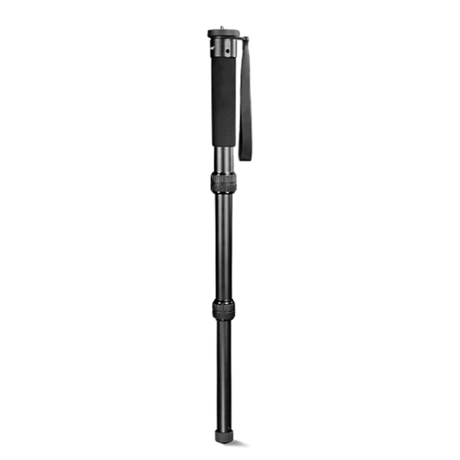 Bewinner Monopiede per Fotocamera da 61 Pollici, Bastone Portatile per Fotografia Video da Viaggio a 7 Sezioni con Cinturino da Polso per DSLR, Lega di Alluminio, capacità 11 Libbre