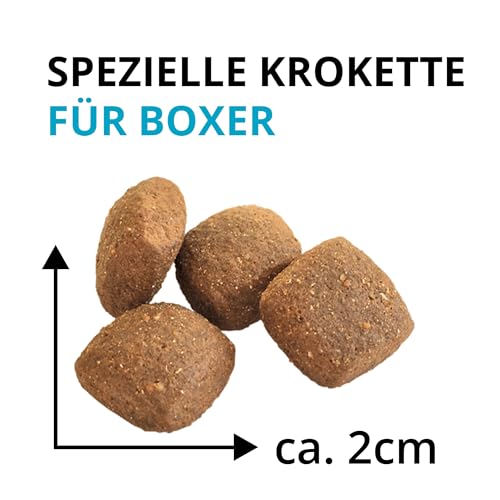 Wildsterne Breed Selection Boxer, 10 kg | Getreidefreies Trockenfutter | Monoprotein | von Tierärzten entwickelt
