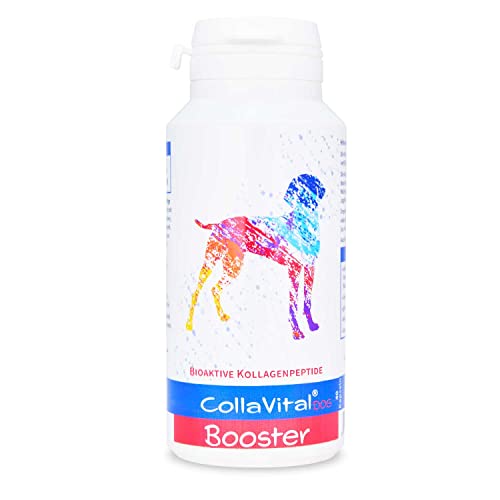 CollaVital® Dog Booster Typ2 Kollagen 40 Kapseln - Gelenkpulver aus bioaktiven Kollagen Hydrolysat - Geschmacksneutral - bioaktive Kollagenpeptide - Protein Booster - Arthrose - für den Hund