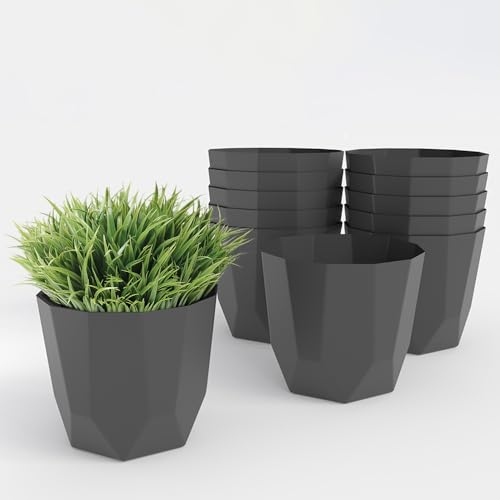 Image of YUCCABE ITALIA SHERA Hexa Plastic Planter Pot for Plants Decorative Flower Pot UV Protected Lightweight Indoor Outdoor Gamla for Home Decor, Balcony, Garden & Living Room (Grey, 4 INCH - 12 Pcs)