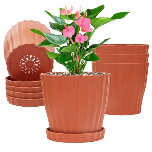 KAHEAUM Plastic Flower Pots, 5 Pack 6 inch Indoor Plant Pots Planters for Outdoor Plants Flowers Garden Patio Home Nursery Decor Gifts,Large Succulent Pots with Drainage Tray Saucer & Hole Terracotta