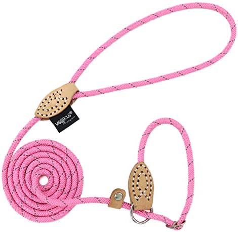 Grand Line Durable Dog Leash Adjustable Slip Rope, 5 FT Reflective Training Dog Lead Leash for Small, Medium and Large Dogs