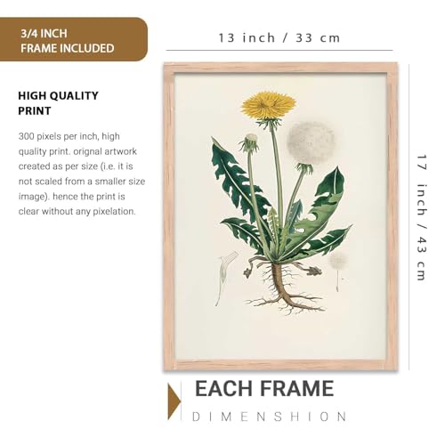Image of kotart Aesthetic Botanical Art Home Decoration Painting | Floral Paintings With Frame For Living Room Bed Room Hotel Wall Decor Digital Reprint Set of 3 (13X17 inch)