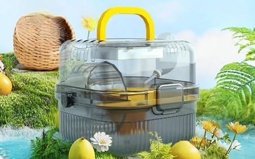 Ladfrol nX^[L[P[WAtAɂAʋCEAʋCǍDAAsAOo (yN[_E^CvzNACG[iXXŗ₷Ƃłj)