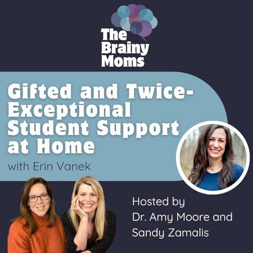 Gifted and Twice-Exceptional Student Support at Home | Erin Vanek