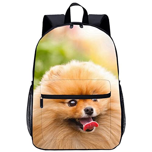 Mochila escolar unisex de Pomerania para llevar libros pesados y ordenador portátil