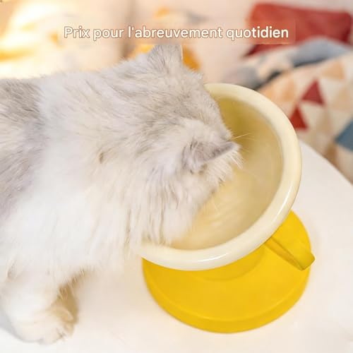 Gamelle pour chat ergonomique contre les reflux et vomissements - 5