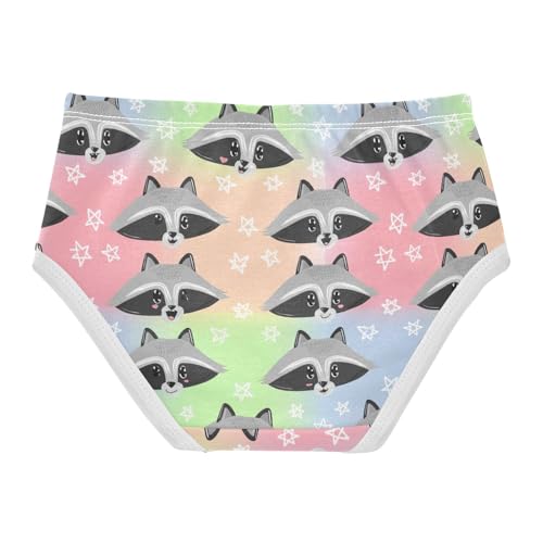 Joisal Cute Cartoon Raccoon Pastel Little Girl Panties Toddler Girls Underwear Cotton Fun Print Briefs Undies Kids 2t2