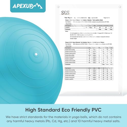 Image of APEXUP Yoga Ball, 660 lbs Anti-Burst Exercise Ball with Pump, 5 Sizes | Anti-Burst, Anti-Slip, SGS Certified, Strengthens Core, Improves Balance & Posture, Boosts Flexibility & Stability