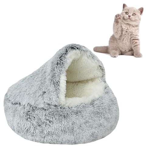 Lpq[^[xbh - hLpq[^[xbhAybgxbh߂ | Lpq[^[~̔L̃xbh̓A |ybg̐e Dƌ G  z[ rO[ Q 񕜊 