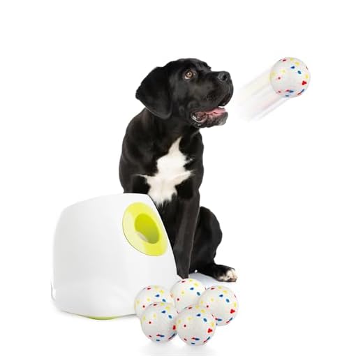ALL FOR PAWS Automatic Ball Launcher