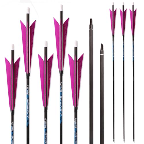 PHILOCS 12 Pezzi ID 6,2 mm Frecce in Carbonio-Puro, Spine 250 300 350 400 500 600 700 800 Viola Pointed Piuma Freccia da Caccia, per Tiro con L'Arco