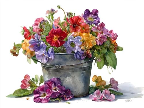 GSҌ DIY ANG̋hGLbgAPaint by NumbersqƑlnhhGԙCeAyCgoCio[ G|XgXDIY`ACeA Ƃ̕ǂ̑A50x60cm/20x24C`(t[X)