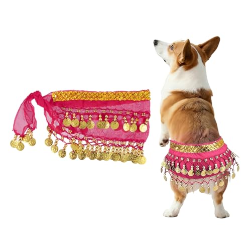 Falda Disfraz Danza del Vientre para Perro Rose 2Pcs