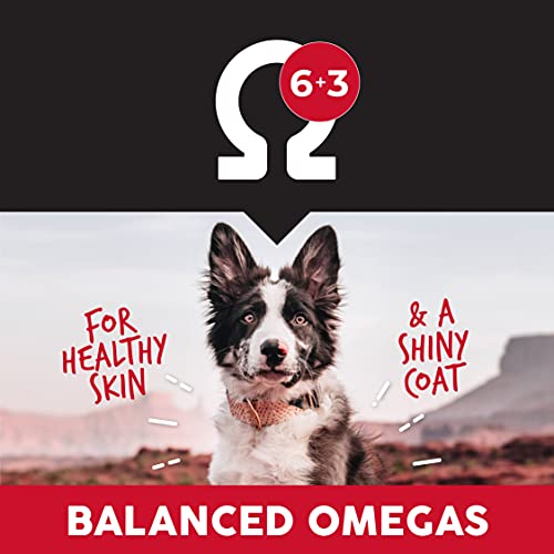 Ultimates Chicken Meal & Rice Dry Dog Food, 28 Lb #TOP5