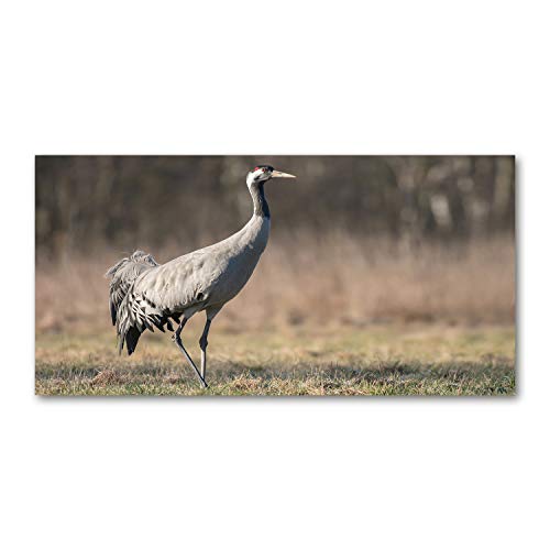 Splashback guard cuisine 140x70cm dosseret verre trempé animaux héron beige