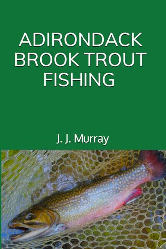 Adirondack Brook Trout Fishing
