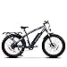 Addmotor Motan Electric Bikes for Adults, 750W 17.5Ah Removable Battery, 26