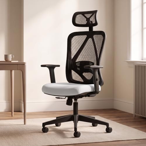 Ergonomic Office Chair