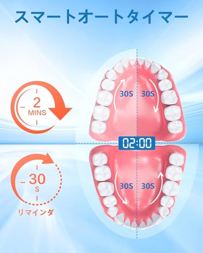 Yardstick 電動ハブラシ 506B の商品画像 1