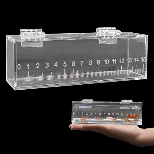 Image of Fish Viewing Box Container with Lid and Scale, Acrylic Portable Fishing Mini Aquarium, Small Fish Breeder Hatching Boxes, Safe Tank Case for Breeding Egg Photo Isolation Outdoor Indoor