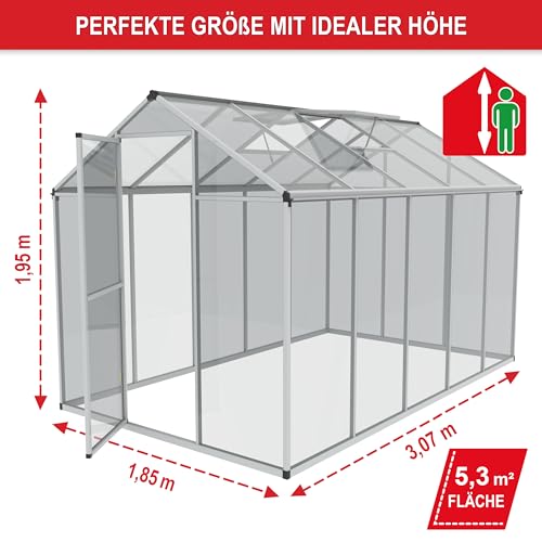 stabiles Aluminium Gewächshaus mit Dachfenster – Garten Frühbeet ideal für die Anzucht von Tomaten Blumen – vielseitig nutzbar als Treibhaus, Tomatengewächshaus Pflanzenhaus (XXL) – Bild 3