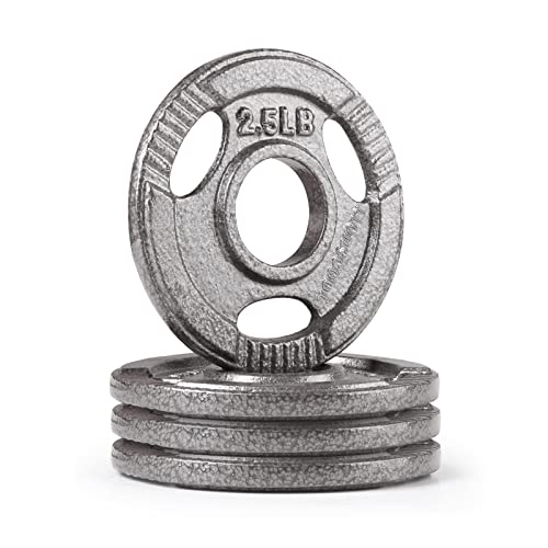 Lionscool 2-Inch Olympic Grip Plate In Pairs Or Single For Strength Training, Weightlifting And Bodybuilding, Solid Cast Iron Weight Plates For Barbell, 2.5-45Lbs, Two Year Warranty (2.5Lb Set Of 4) #TOP19