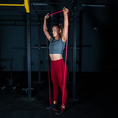 Image of SERIOUS STEEL FITNESS Assisted 41 inch Pull-Up Band, Resistance & Stretch, Powerlifting & Pull-up Assist Loop (Single Band)
