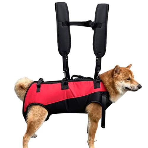 Harnais de levage pour animal domestique - Sangle de mobilité Heavy Dut pour chien - 120 cm réglable - Sangle fiable et sûre - Gilet de soutien en maille respirante - Ne glisse pas pour la