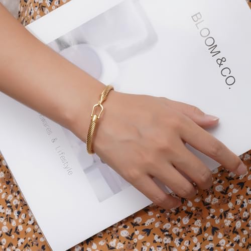 Twisted Cable Bracelet for Women 5mm Stainless Steel Cuff Bangle Bracelet with Hook Clasp Designer Brand Inspired Jewelry Valentine Day Gift3