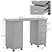 BarberPub Manicure Table, Acetone Resistant Nail Desk, Nail Table with 4 Drawers, 2 Cabinet, Lockable Wheels, Wrist Pad, Nail Desk for Nail Tech, Beauty Salon Silver 0611