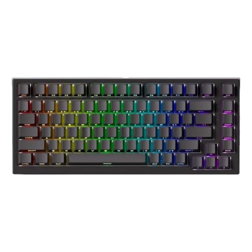 ���C�X�C�b�`�L�[�{�[�h 75% ���s�b�h�g���K�[ 0.005mm 8K RGB �L�� TAC75 HE �ƌ݊�������(Black 3)