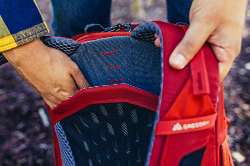 Gregory Men's Backpack, Orange (Ferrous Orange), One Size #TOP7