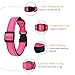HEELE Hundehalsband, weich gepolstertes Neopren Nylon Hunde Halsband für kleine mittlere große Hunde und Welpen, verstellbare und reflektierende Halsband Hund für Training, Rosa, S