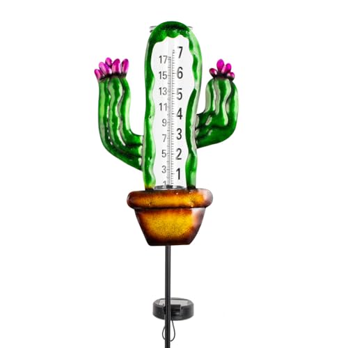 Pluviomètre solaire décoratif en forme de cactus, cadeau idéal