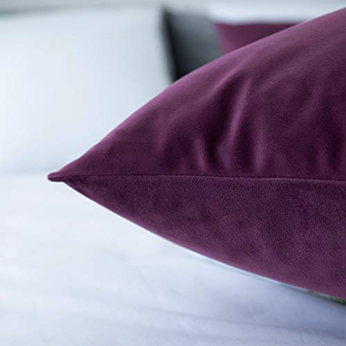 JUSPURBET Velvet Body Pillow Cover with Hidden Zipper,Soft and Breathable Pillowcase for Adults Pregnant Women,20\"x54\",Eggplant Purple