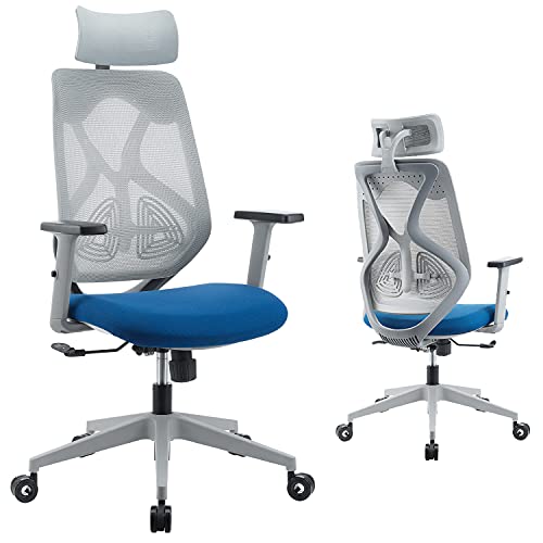 WORKSMYTH Breathable Mesh Back Ergonomic Office Chair, High Back Computer Desk Chair with Adjustable Headrest Lumbar Support and Arm Rests, Hubless Casters