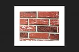 Z-Brick Facing Brick, Inca Used. 3-1/2 Sq. Ft. 20/Box