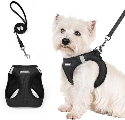 rabbitgoo Small Dog Harness with Reflective Strap, Black S, Adjustable Dog Vest Easy to Put on, Breathable Soft Mesh Anti-Pull Harness, Harness for Small Dogs Puppies