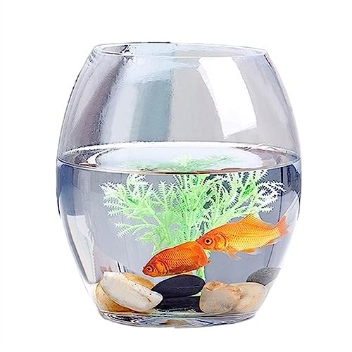 Aquarium Complet Réservoir de Poissons Transparent épais, Petit réservoir de Tortue en Verre, réservoir Ovale, for la Maison et Le Bureau, Polyvalent Bac à Poisson (Size : XS)