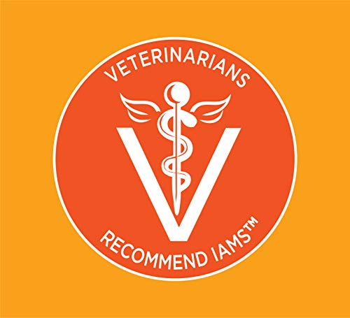 Iams Proactive Health Healthy Adult Dry Cat Food and Grain Free Paté Wet Cat Food, Chicken Recipes - Image 8