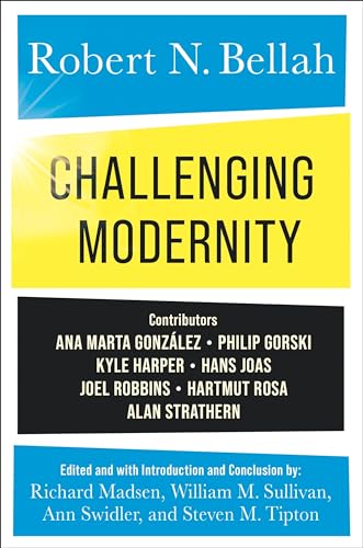 Challenging Modernity view 2