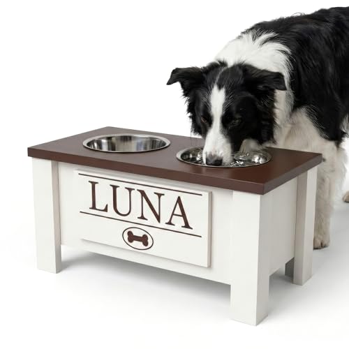 GTW Personalized Elevated Dog Bowl Stand for Large, Medium, Small, X-Small Dogs - Stainless Steel Food and Water Bowls - Raised Dog Dish with Internal Storage (Medium, Dark Walnut)