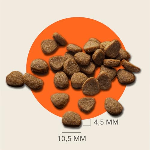 IAMS Katzenfutter trocken getreidefrei mit Huhn - Trockenfutter ohne Getreide für Katzen ab 1 Jahr, 2,5 kg